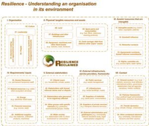 Systems, analysis framework