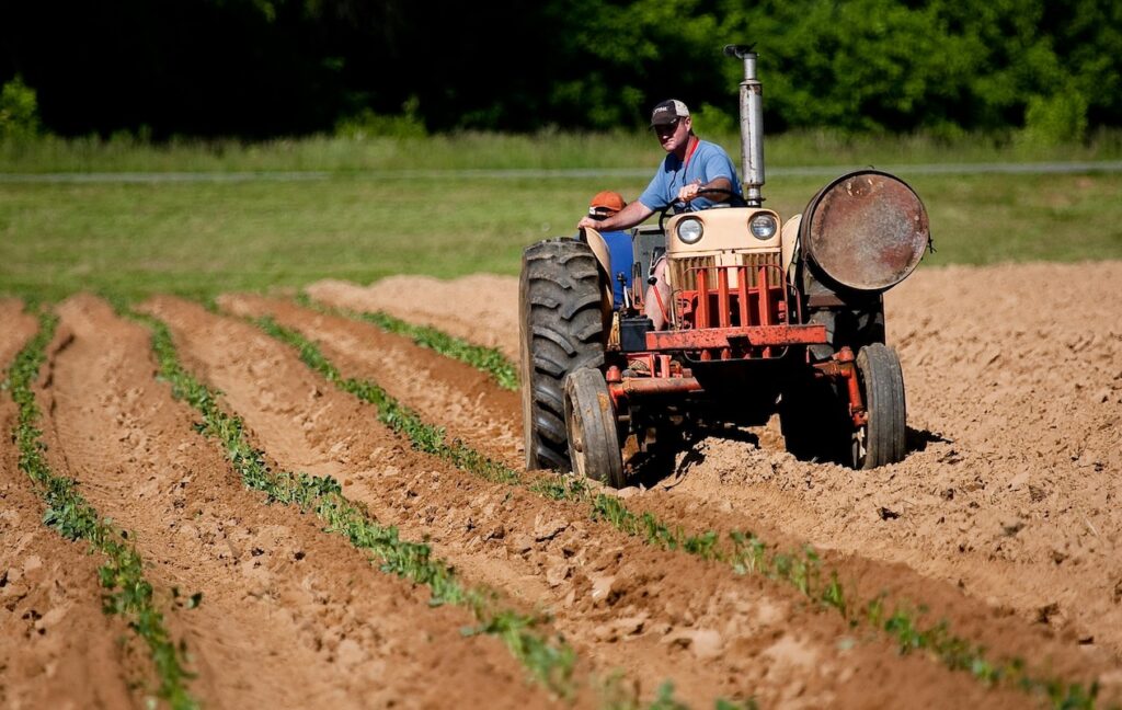 Local food production