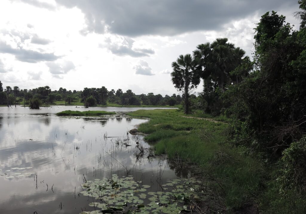 Ivory coast project proposal