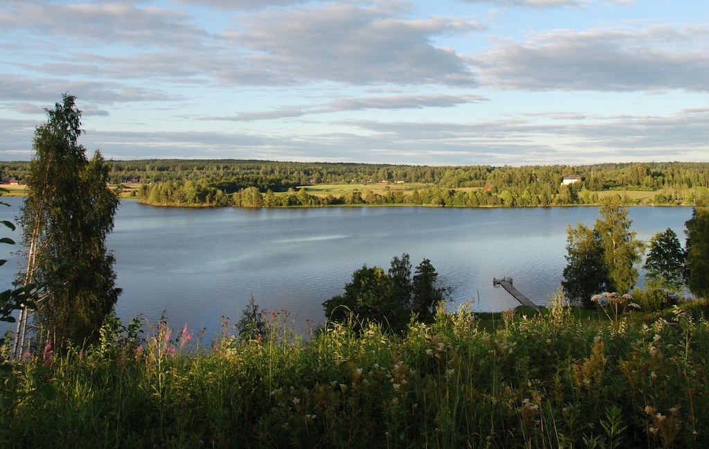 Kritiska behov av resiliens baserat på en hälsosam miljö