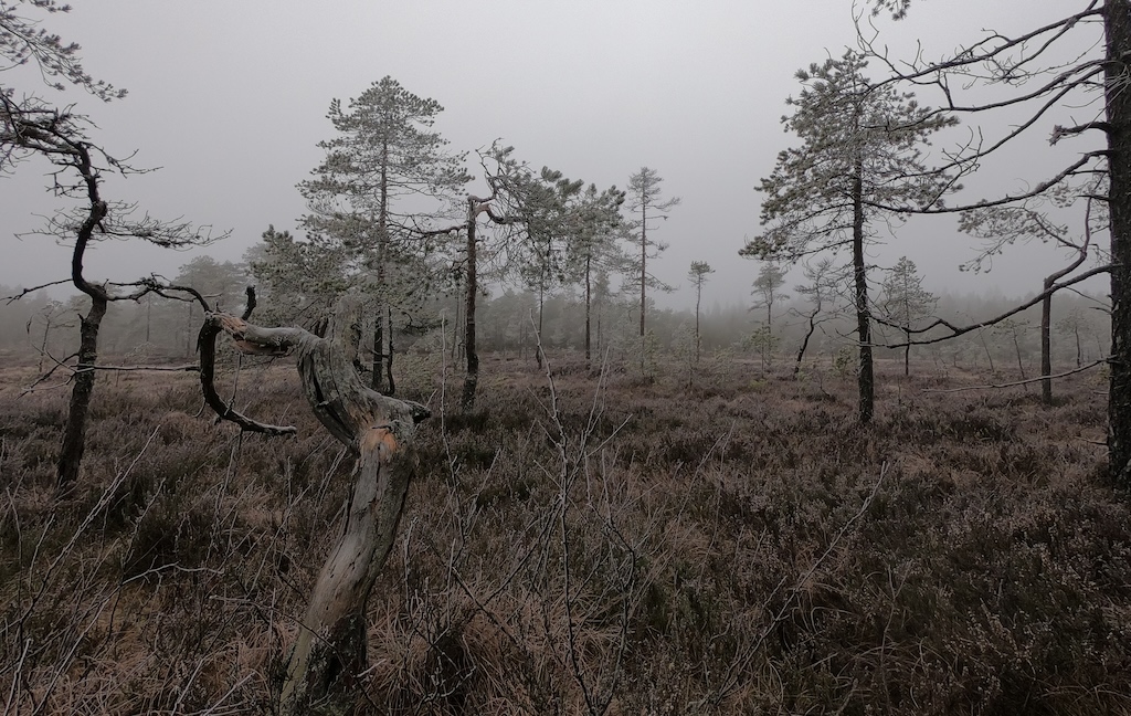 Landskapet dikterar tillvägagångssättet